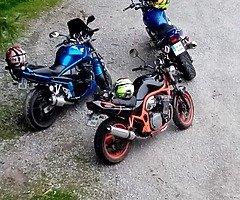 Suzuki bandit 600 cc 1998