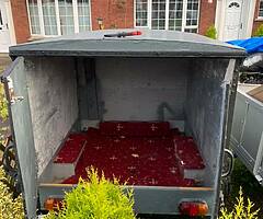 Dog trailer