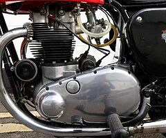 1960 BSA Gold Star - Image 9/10