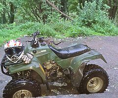 2004 Kawasaki klf 250 or 300