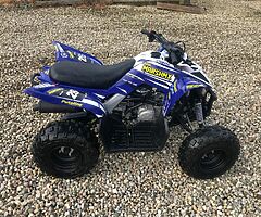 2020 Yamaha  Yfm 90