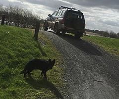 Diesel vitara tested loads of extras PM ONLY - Image 5/7