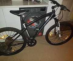 Felt mtb