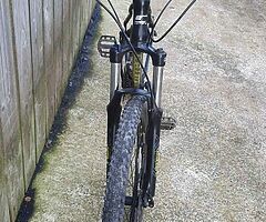 Carrera moutain bike