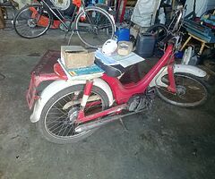Honda pc50 1976 - Image 4/6