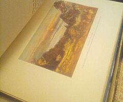 Good old books including William Bulfin ,Killarney  book etc etc and collectors items