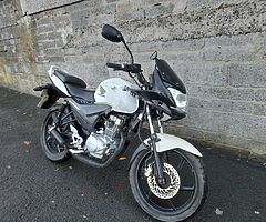 ** 2OO8 HONDA CBF 125 **