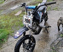 2014 Stomp  Stomp 110