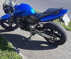 Honda cb250 Hornet - Image 4/10