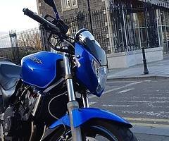 Honda cb250 Hornet - Image 5/10