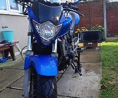 Honda Hornet 250(cb250f) - Image 7/9