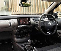 Citroen cactus