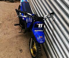 Pw50