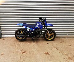 Pw50