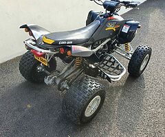 2010 Can-Am DS