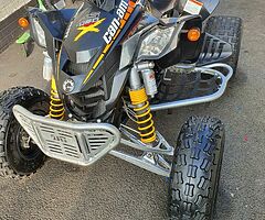2010 Can-Am DS