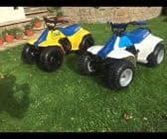 2021 Quads  Quads - Image 4/4