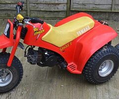 ANY TRI ZINGERS FOR SALE
