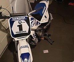 2019 Yamaha PW