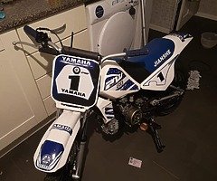2019 Yamaha PW