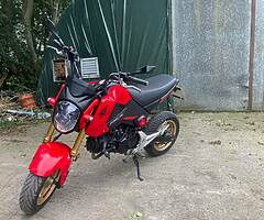 Honda msx grom 125 - Image 7/7