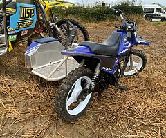 2010 Yamaha PW