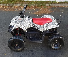 Kids electric professional quad from muckandfun