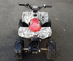 Kids electric professional quad from muckandfun