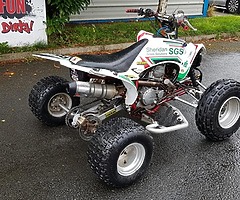 Yamaha raptor 250 at muckandfun