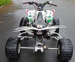 Yamaha raptor 250 at muckandfun