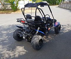 Quadzillla cheetah 150 cc dune buggy from muckandfun.con - Image 5/10