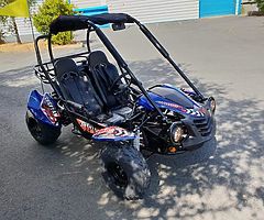 Quadzillla cheetah 150 cc dune buggy from muckandfun.con - Image 7/10