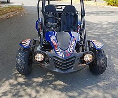 Quadzillla cheetah 150 cc dune buggy from muckandfun.con - Image 8/10