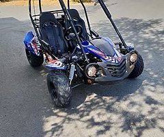 Quadzillla cheetah 150 cc dune buggy from muckandfun.con - Image 9/10