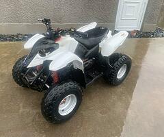 Polaris Predator 90cc - Image 6/6