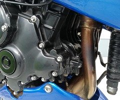 Triumph rs955i year 2004 swap! - Image 4/9