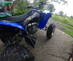 1902 Yamaha Raptor 350