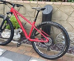 2020 Narco fluid hard tail 29er