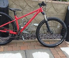 2020 Narco fluid hard tail 29er - Image 4/5