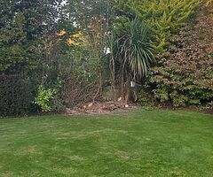 Unique cleaning and tree surgeons