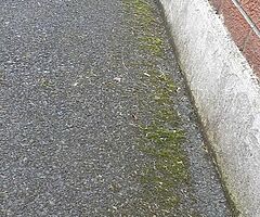 Unique cleaning and tree surgeons - Image 4/10