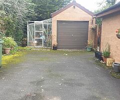 Unique cleaning and tree surgeons - Image 5/10