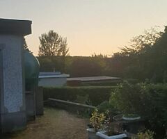 Unique cleaning and tree surgeons - Image 8/10