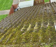 Unique cleaning and tree surgeons - Image 10/10