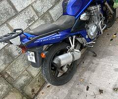 Suzuki bandit 600 - Image 4/9