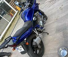 Suzuki bandit 600 - Image 7/9