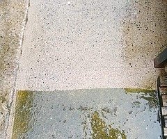 All your garden needs before winter hits us - Image 3/8