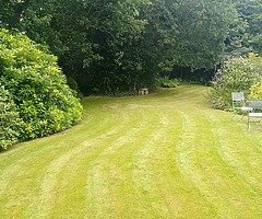 All your garden needs before winter hits us - Image 4/8