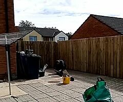 All your garden needs before winter hits us - Image 8/8