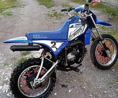 Wanted pw 80